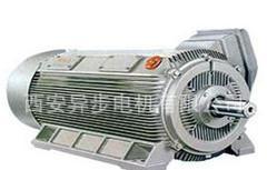 西安西玛电机Y2-4001-4 315KW 6KV高压电动机 价格、厂家及图片全解析